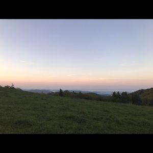 Meet your Posher, Rowena